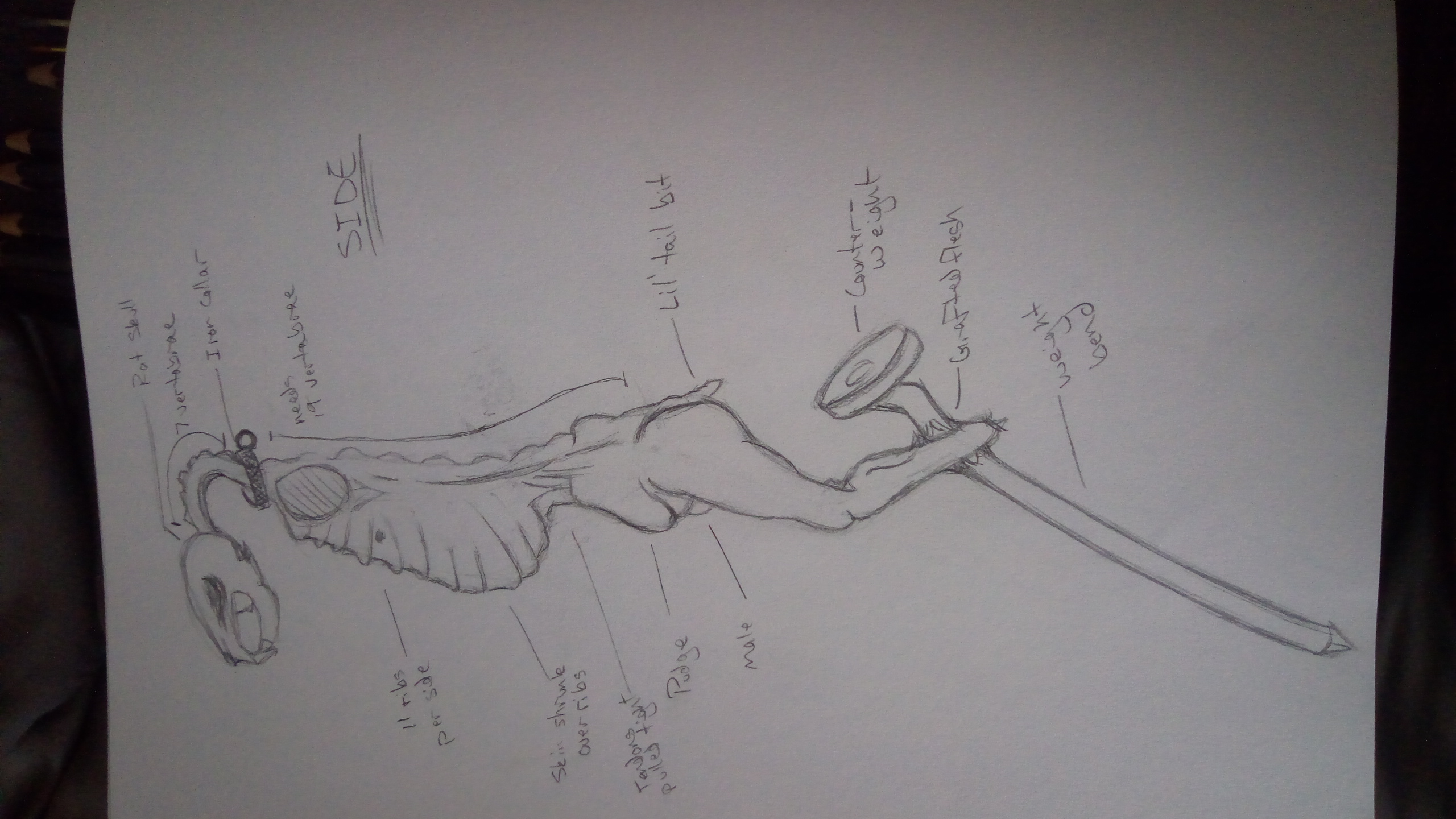 War Torch Side Sketch